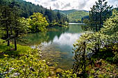 Parco Naturale Capanne di Marcarolo, Laghi del Gorzente.